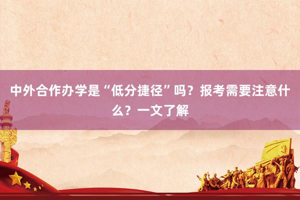 中外合作办学是“低分捷径”吗？报考需要注意什么？一文了解