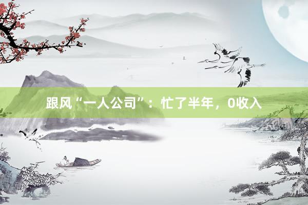 跟风“一人公司”：忙了半年，0收入