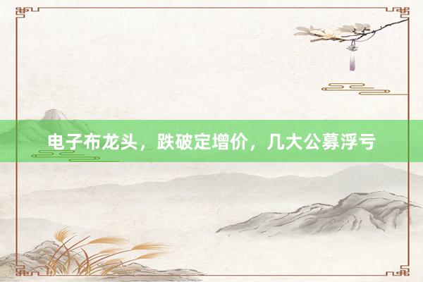 电子布龙头，跌破定增价，几大公募浮亏