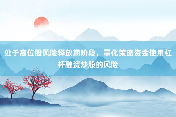 处于高位股风险释放期阶段，量化策略资金使用杠杆融资炒股的风险