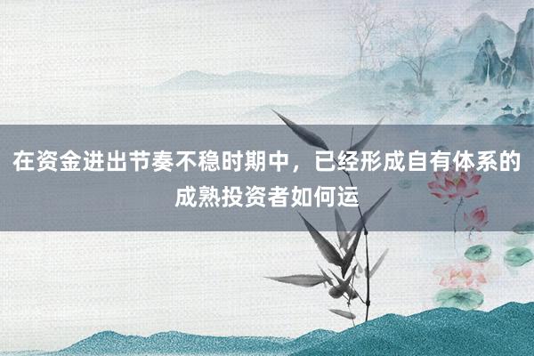 在资金进出节奏不稳时期中，已经形成自有体系的成熟投资者如何运