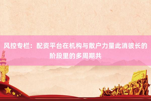 风控专栏：配资平台在机构与散户力量此消彼长的阶段里的多周期共