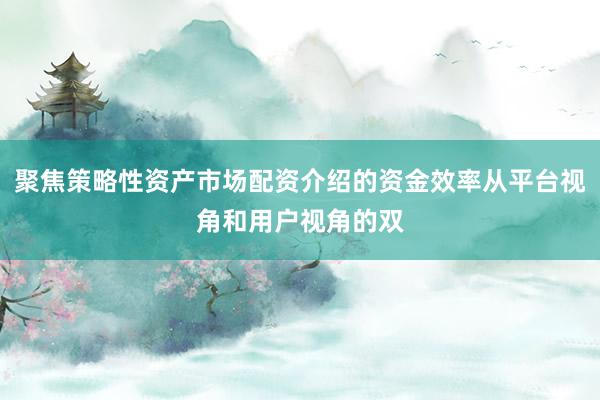 聚焦策略性资产市场配资介绍的资金效率从平台视角和用户视角的双