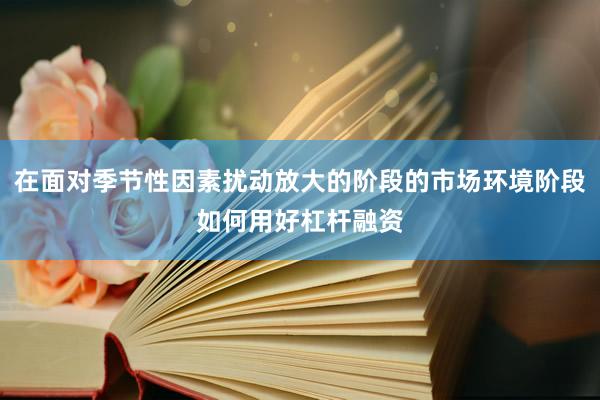 在面对季节性因素扰动放大的阶段的市场环境阶段如何用好杠杆融资
