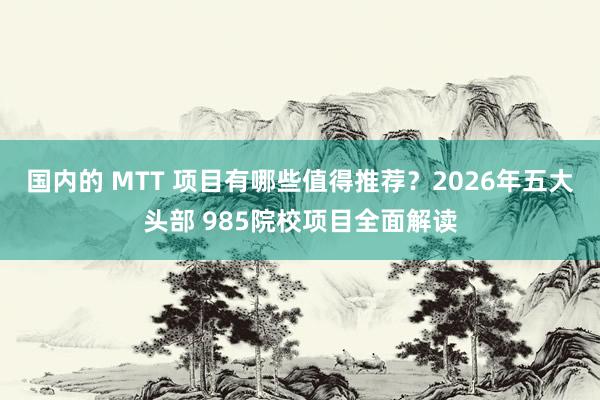 国内的 MTT 项目有哪些值得推荐？2026年五大头部 985院校项目全面解读